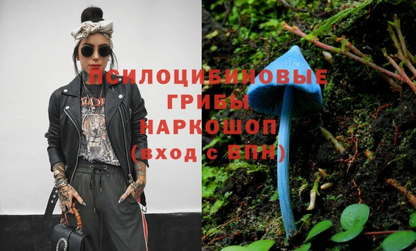 СК Белокуриха
