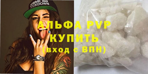 СК Белокуриха