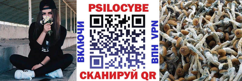 hydra сайт  Певек  Псилоцибиновые грибы GOLDEN TEACHER  продажа наркотиков 